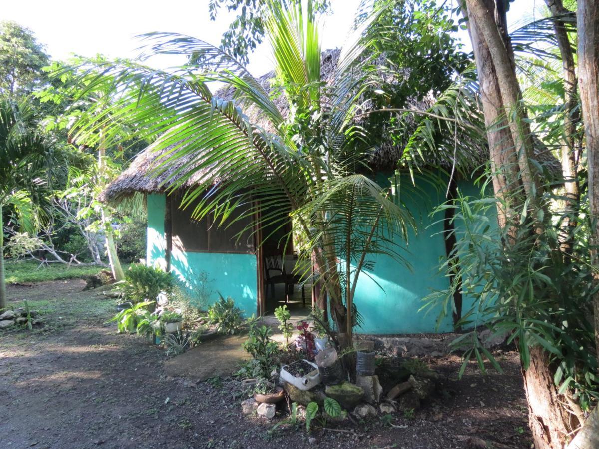 Cabanas Calakmul Villa Conhuas Exteriör bild