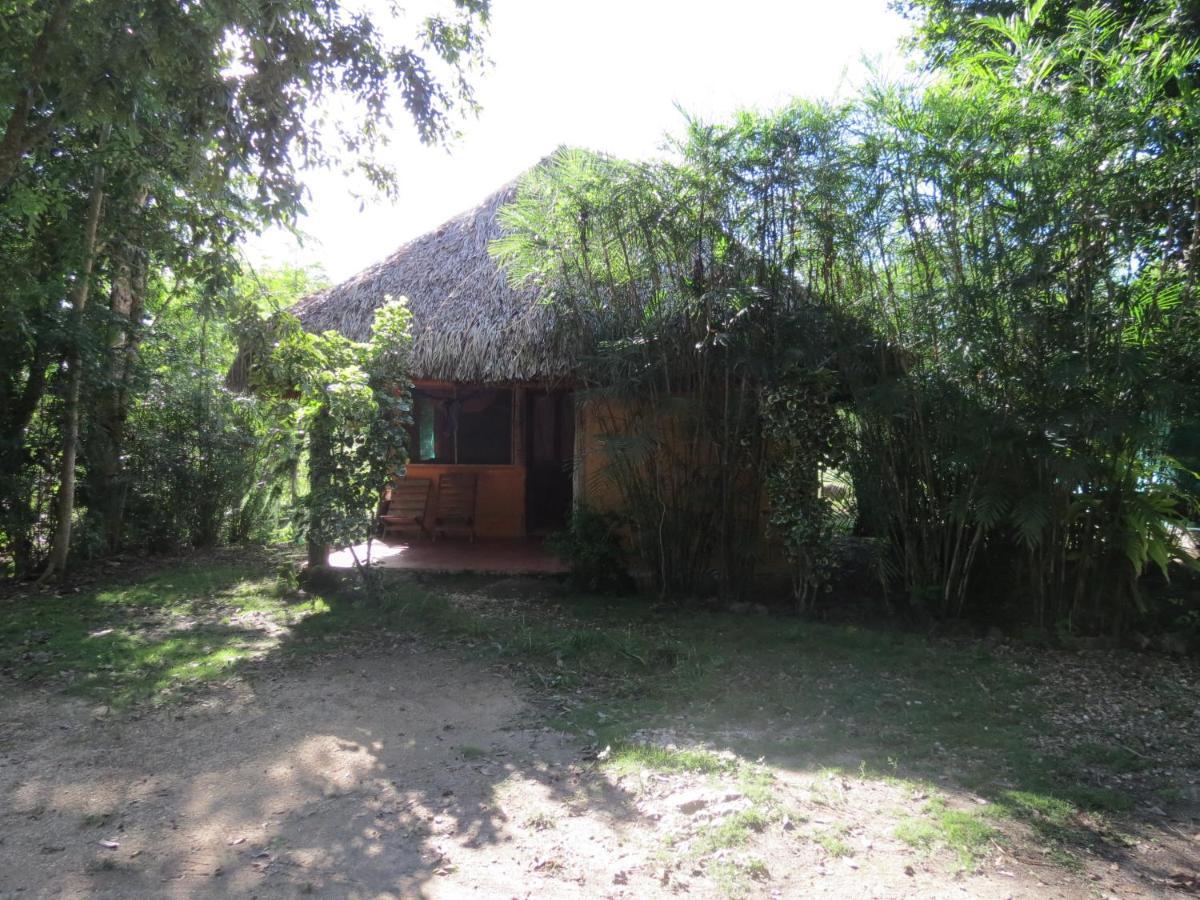 Cabanas Calakmul Villa Conhuas Exteriör bild