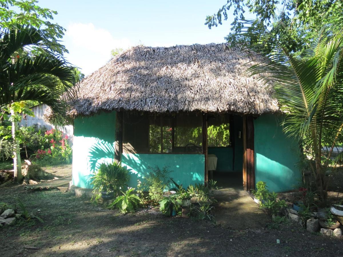 Cabanas Calakmul Villa Conhuas Exteriör bild