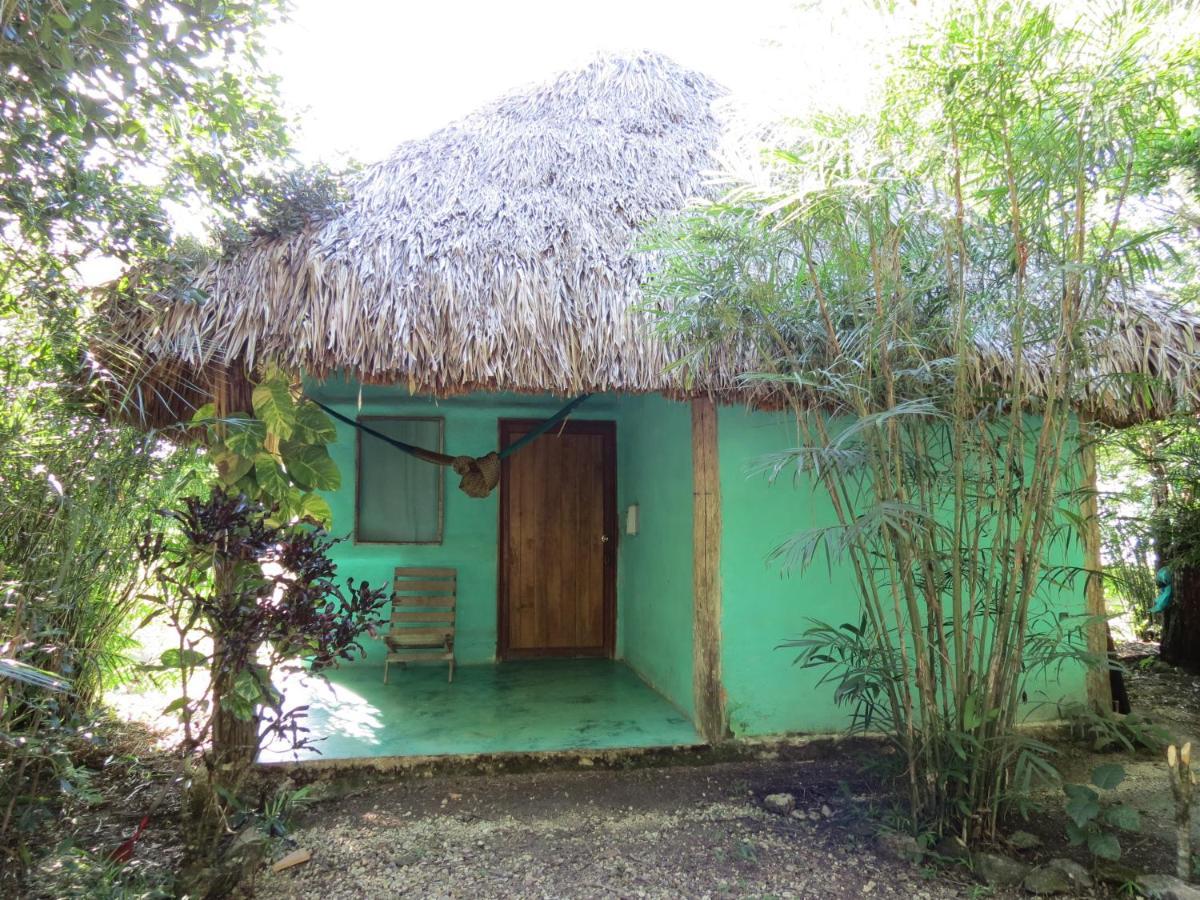 Cabanas Calakmul Villa Conhuas Exteriör bild