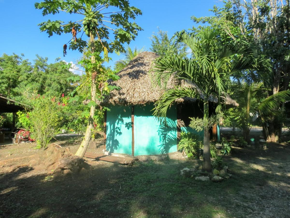 Cabanas Calakmul Villa Conhuas Exteriör bild