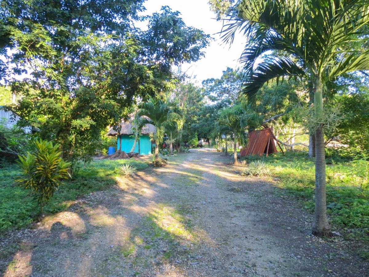 Cabanas Calakmul Villa Conhuas Exteriör bild