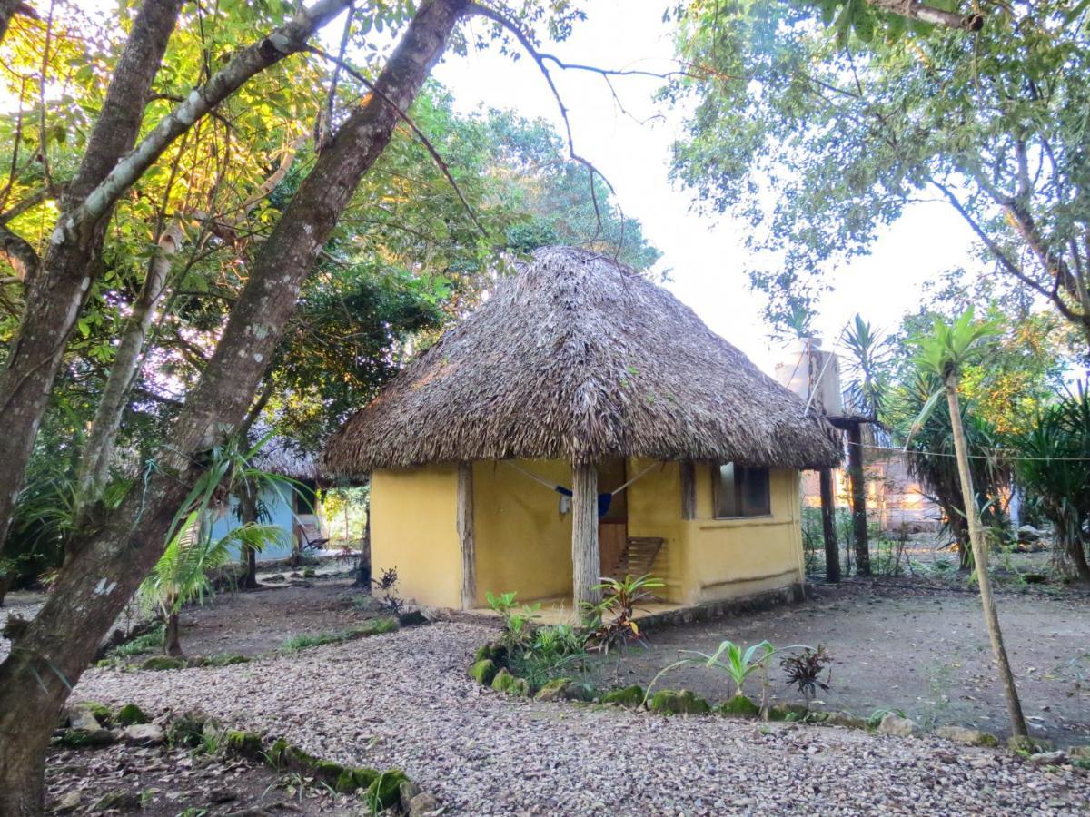 Cabanas Calakmul Villa Conhuas Exteriör bild