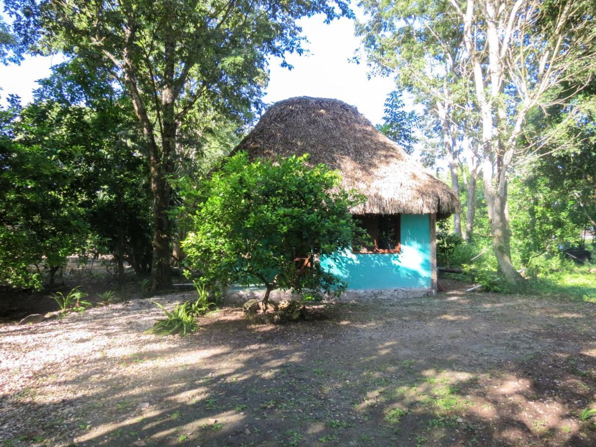 Cabanas Calakmul Villa Conhuas Exteriör bild