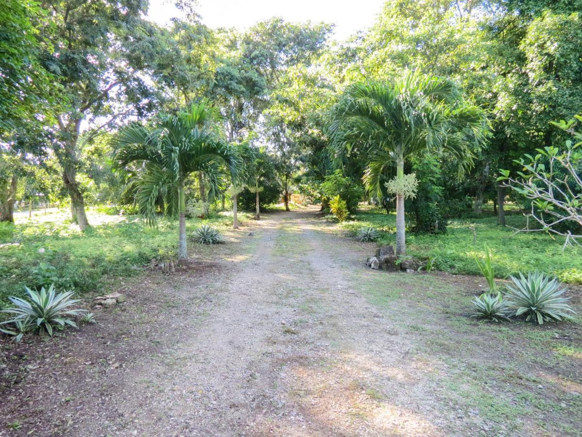 Cabanas Calakmul Villa Conhuas Exteriör bild