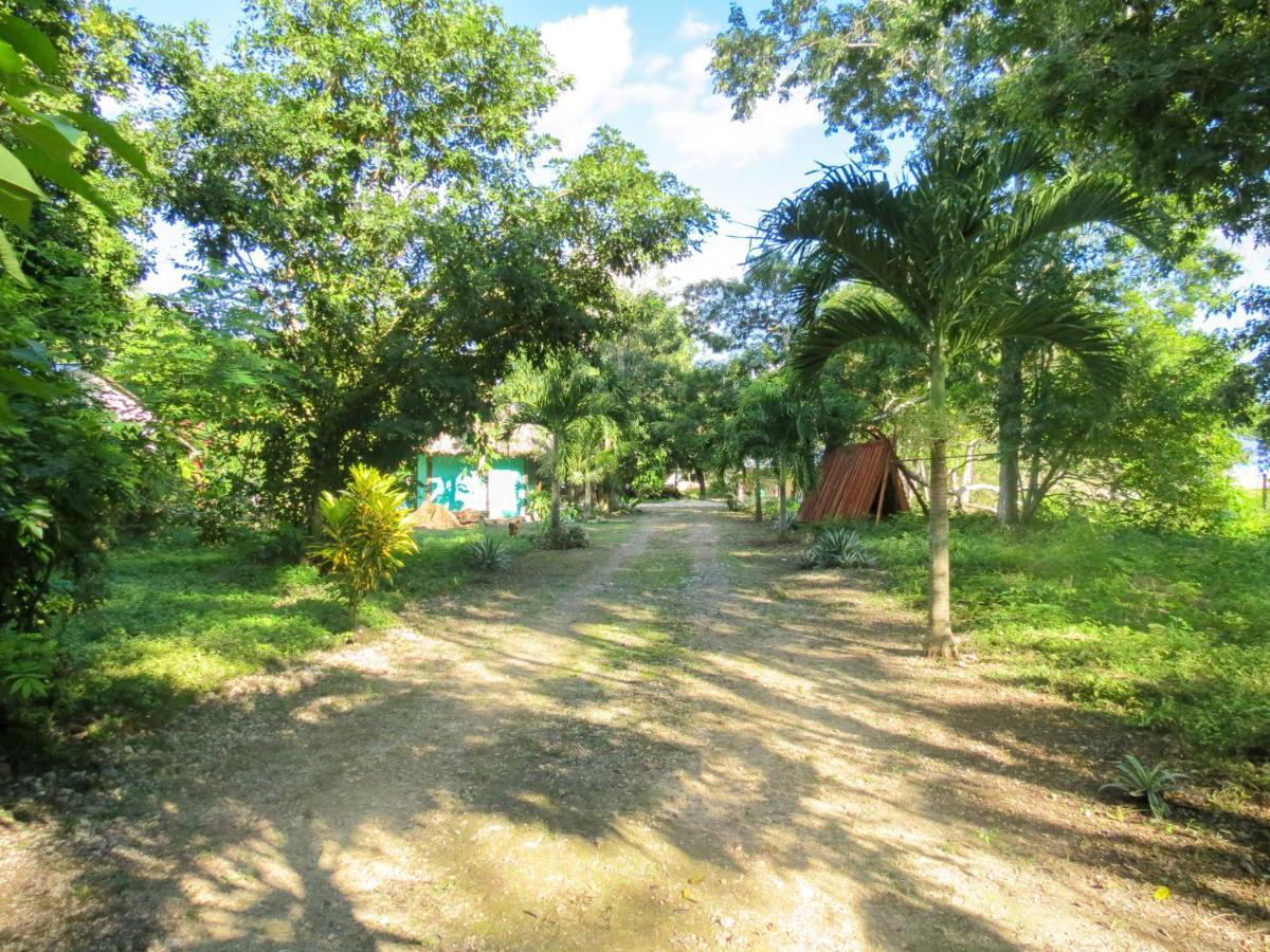 Cabanas Calakmul Villa Conhuas Exteriör bild