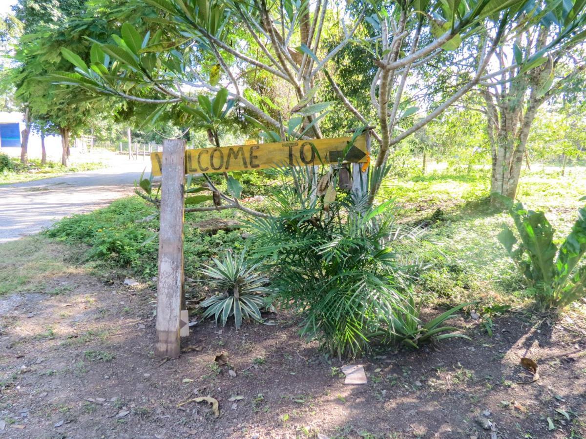 Cabanas Calakmul Villa Conhuas Exteriör bild