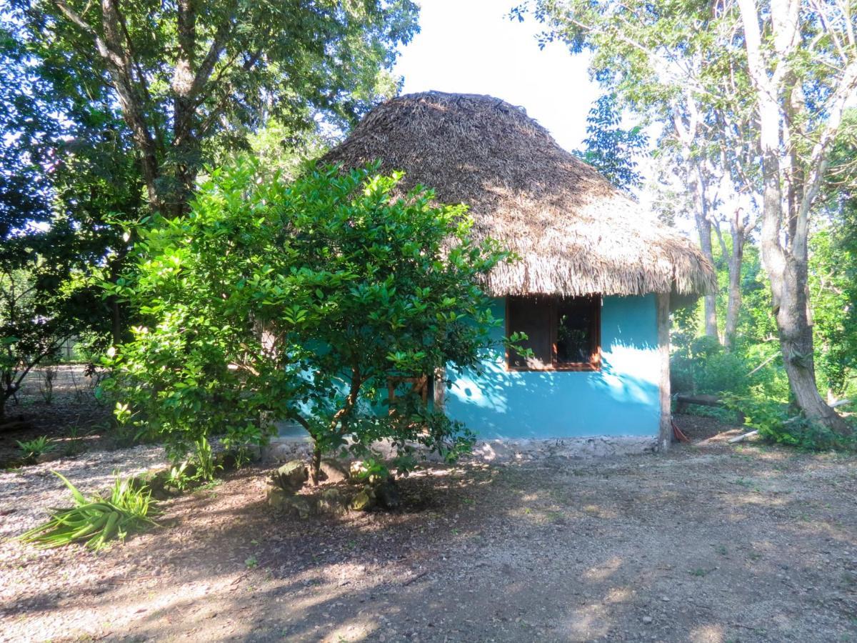 Cabanas Calakmul Villa Conhuas Exteriör bild