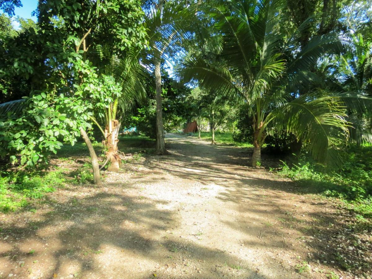 Cabanas Calakmul Villa Conhuas Exteriör bild